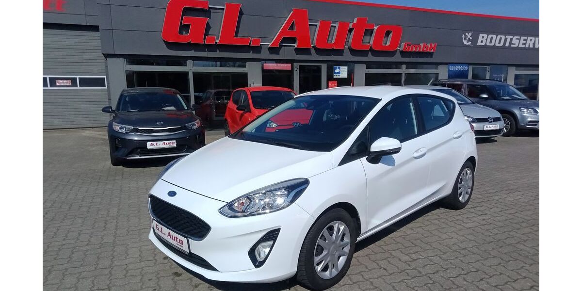 Ford Fiesta 96.668 km 8.990 &euro; Perleberg 19348