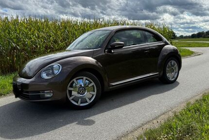VW Beetle 110.500 km 7.500 € Hengersberg 94491
