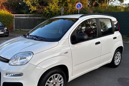 Fiat Panda 164.397 km 4.100 € Offenbach 63069