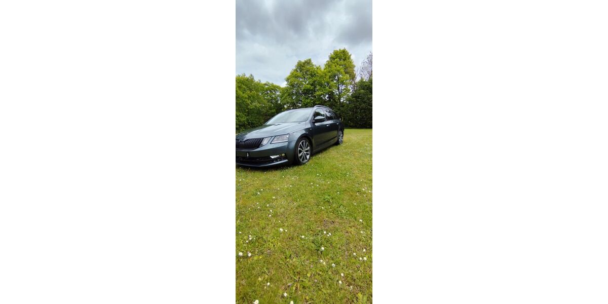 Skoda Octavia 131.000 km 13.000 &euro; Großsolt 24991