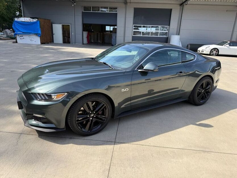 Mustang
