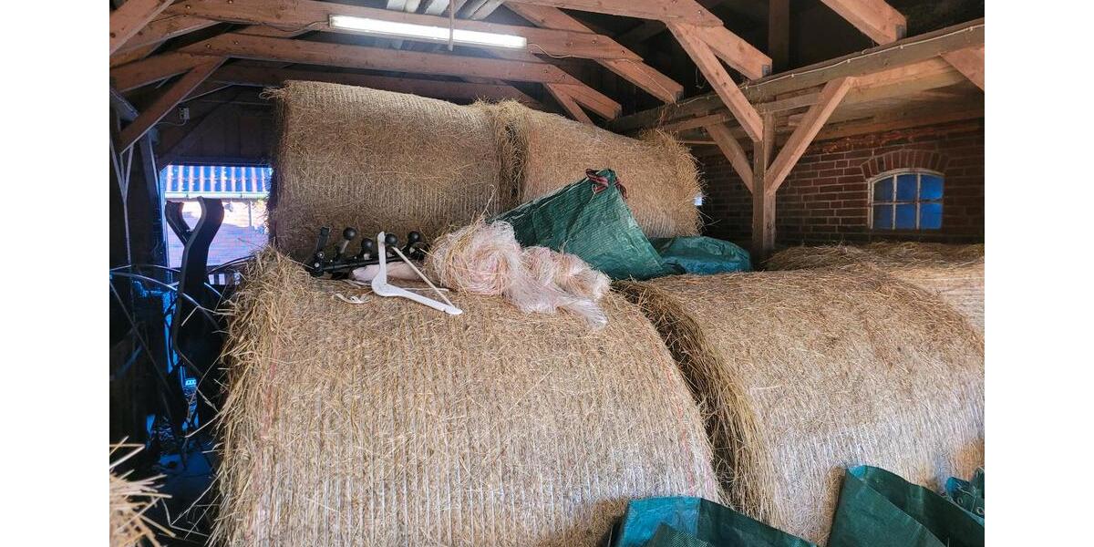 Bauernhaus, Landhaus Krummhörn - 7 Zimmer, 270 m&sup2;, 2.700&euro; | Angebot:25232684