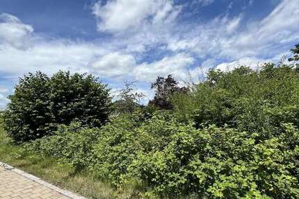 Grundstück Pfofeld - 229.000&euro; | Angebot:24103960