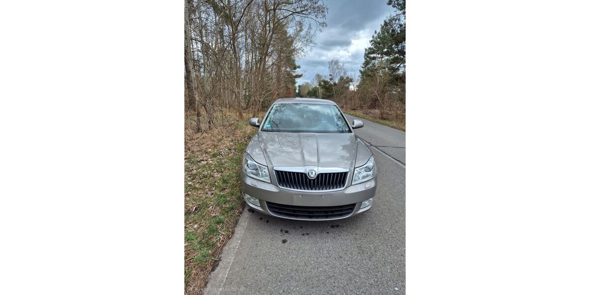 Skoda Octavia 196.224 km 3.600 &euro; Doberlug-Kirchhain 03253