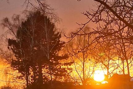 Gewerbeobjekt Syke - 600&euro; | Angebot:25406707