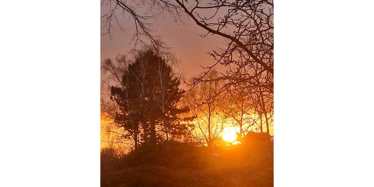 Gewerbeobjekt Syke - 600&euro; | Angebot:25406707