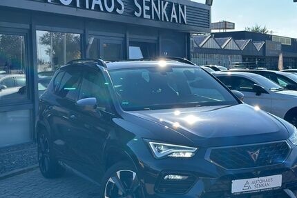 Cupra Ateca 76.500 km 24.990 &euro; Peine 31226