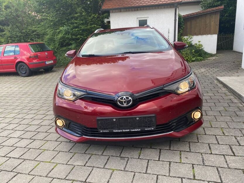 Auris