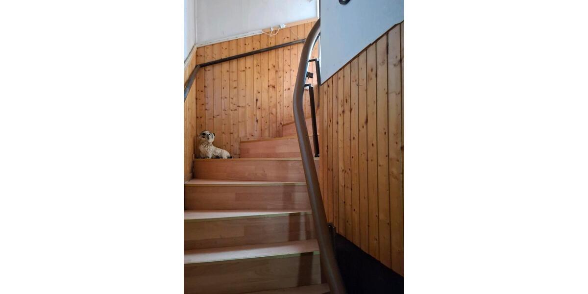 Reihenhaus Werdau - 5 Zimmer, 100 m&sup2;, 60.000&euro; | Angebot:24829937