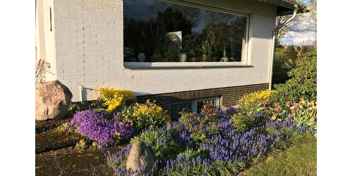 Bungalow Walsrode - 5 Zimmer, 130 m&sup2;, 425.000&euro; | Angebot:26035261