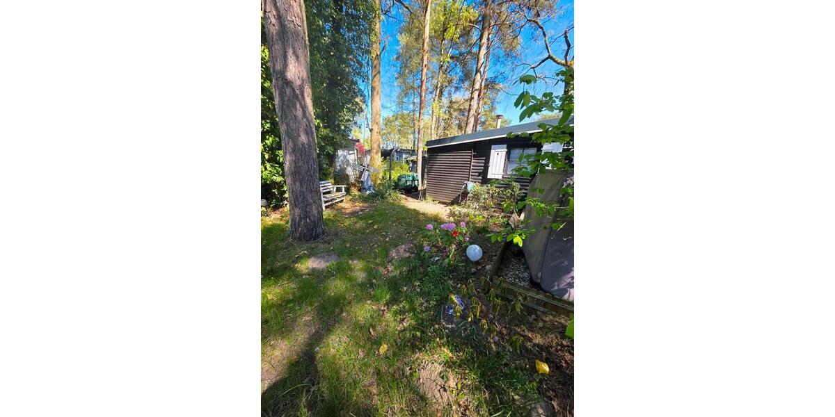 Einfamilienhaus Heidenau - 4 Zimmer, 50 m&sup2;, 32.000&euro; | Angebot:26978086