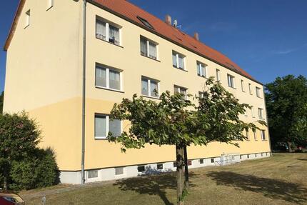 Ihr neues Zuhause in Zirchow auf Usedom - Urlaub das ganze Jahr!