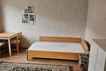 Frisch renovierte 1Raum-Wohnung, möbliert