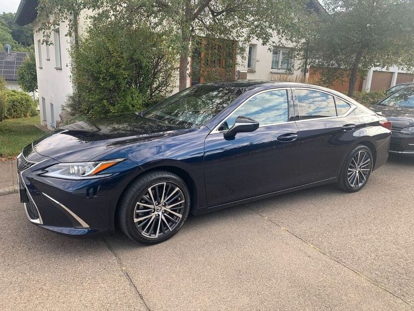 ES 300