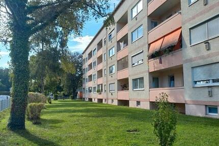 4-Zimmer-Wohnung 4 zimmer