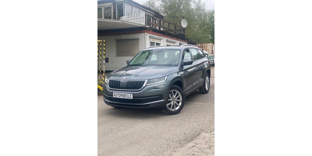 Skoda Kodiaq 169.000 km 17.200 &euro; Hamburg 22119