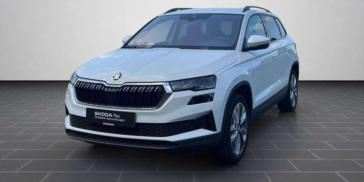 Skoda Karoq 119.507 km 17.180 € Mainz 55129