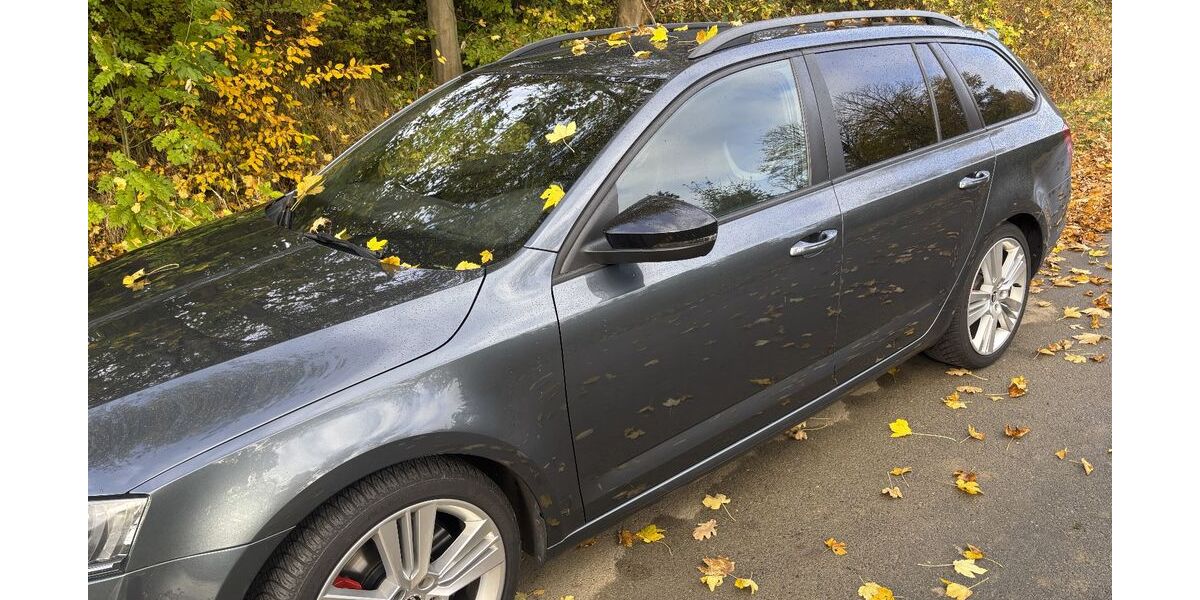 Skoda Octavia 245.000 km 10.800 &euro; Lehre 38165