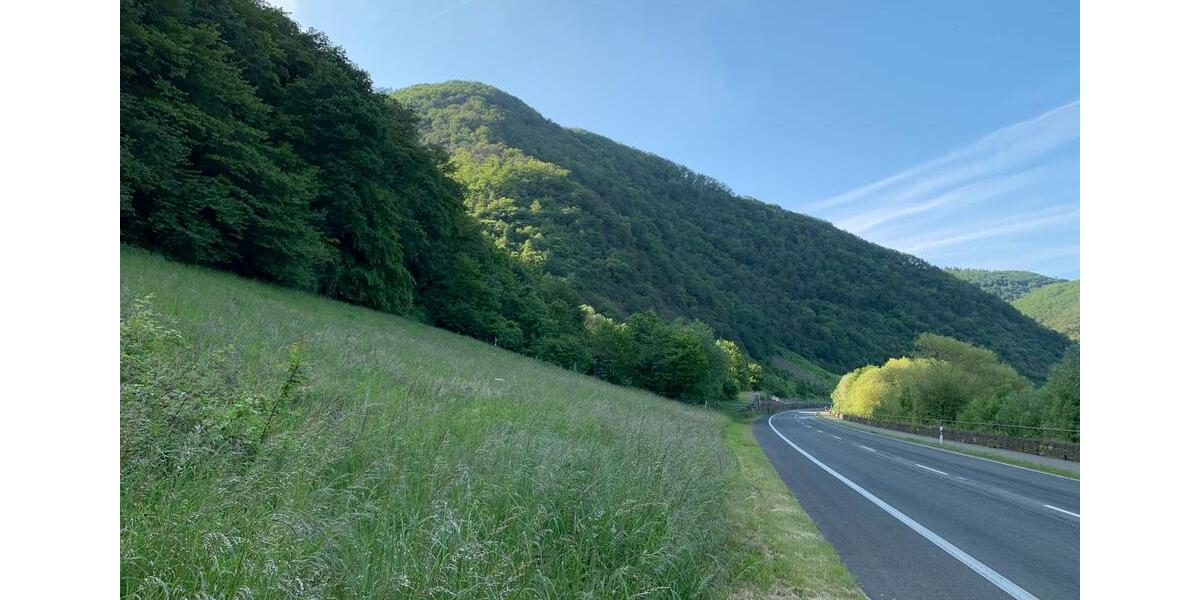 Grundstück Senheim - 14.450&euro; | Angebot:11233803