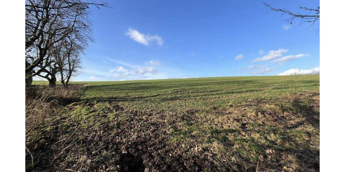 Grundstück Extertal-Bösingfeld Bösingfeld - 51.000&euro; | Angebot:25245972