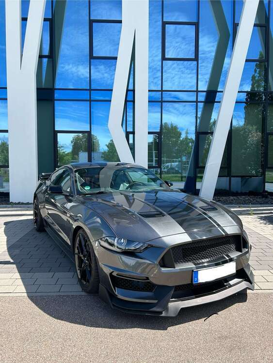 Mustang