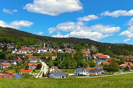 **4-Zimmer ETW -großzügiger ruhiger Wohntraum für die Familie** 4 zimmer