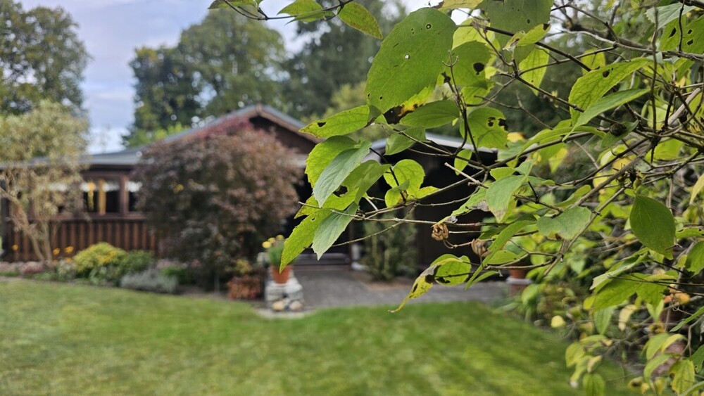 HORN IMMOBILIEN ++ kleines Paradies in landschaftlich reizvoller Lage bei Fürstenberg (Havel) - Ferienhaus Wokuhl-Dabelow / Carolinenhof Carolinenhof | Angebot:27253552