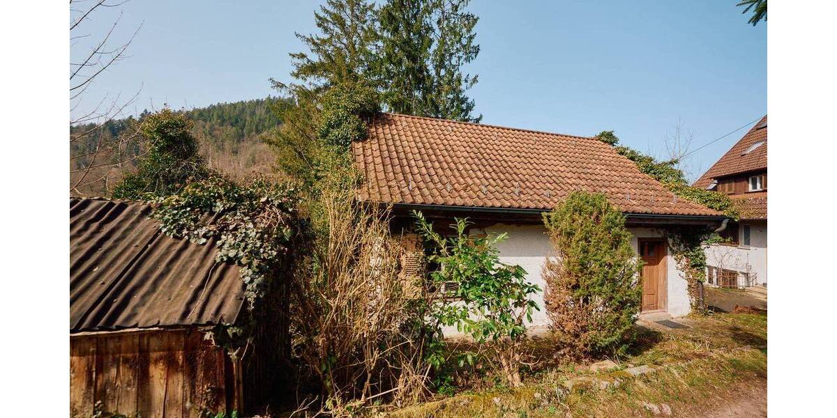 Mehrfamilienhaus, Wohnhaus Schramberg - 1 Zimmer, 333 m&sup2;, 248.500&euro; | Angebot:26188399