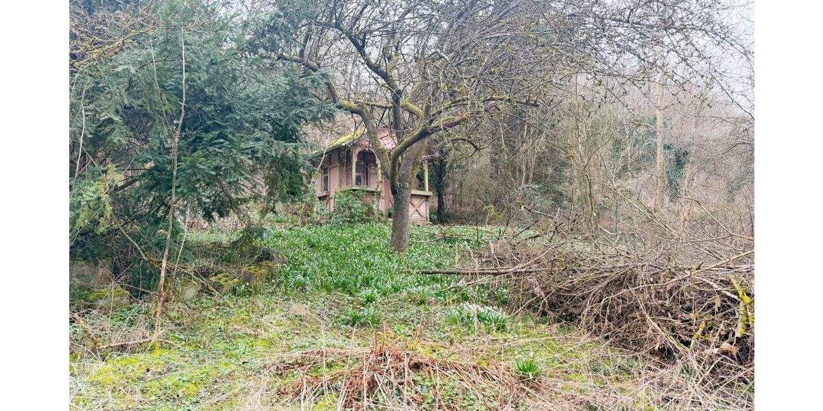 Grundstück Coburg - 59.000&euro; | Angebot:25735847