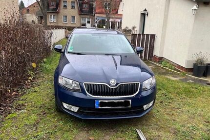 Skoda Octavia 143.000 km 9.000 &euro; Velten 16727