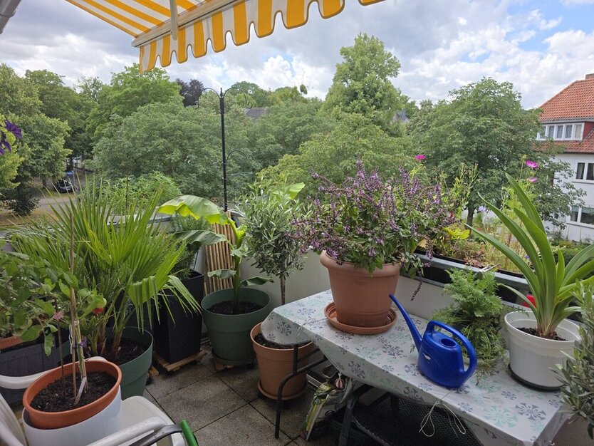 Kassel, vord. Westen, 3 ZKB, 68m² mit Wohnrecht! 3 zimmer
