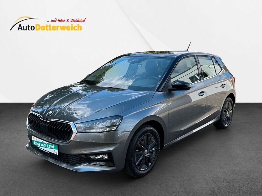 Skoda Fabia 30.700 km 17.890 € Schönbrunn 96185