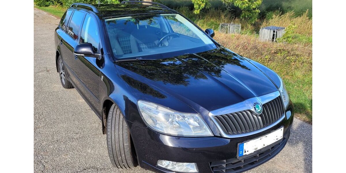 Skoda Octavia 259.000 km 2.750 &euro; Lankau 23881