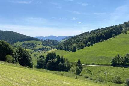 Gewerbeobjekt Kleines Wiesental - 699.000&euro; | Angebot:19952605