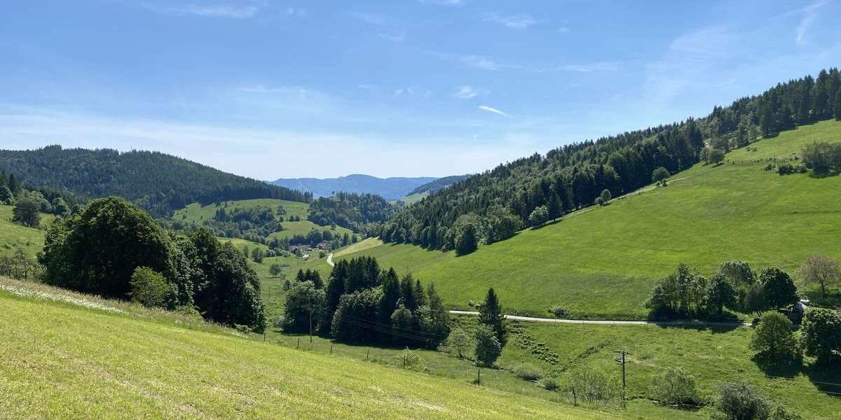 Gewerbeobjekt Kleines Wiesental - 699.000&euro; | Angebot:19952605