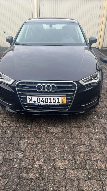 A3