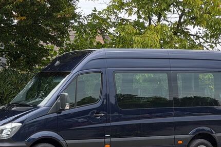 Mercedes-Benz Sprinter 529.153 km 15.351 &euro; Bad Bentheim 48455