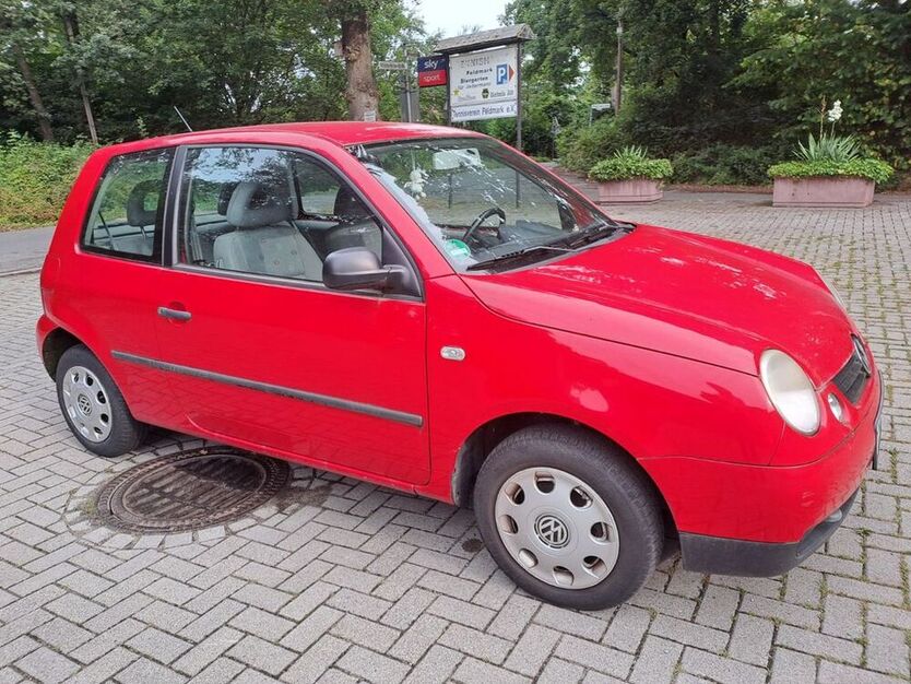Lupo