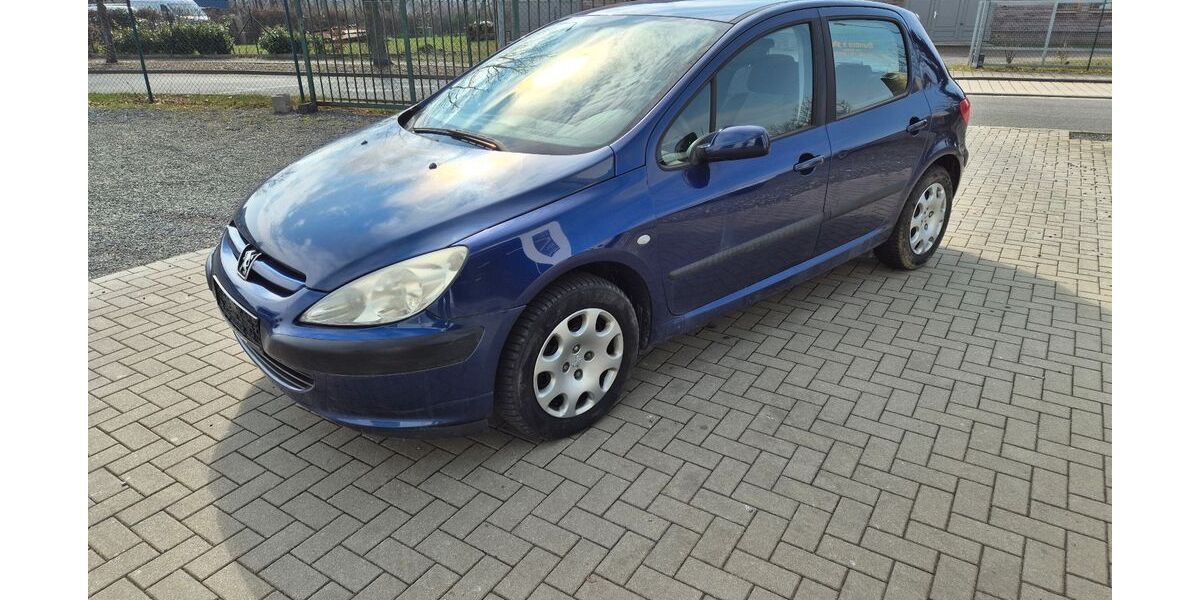 Peugeot 307 112.000 km 599 &euro; Weida 07570