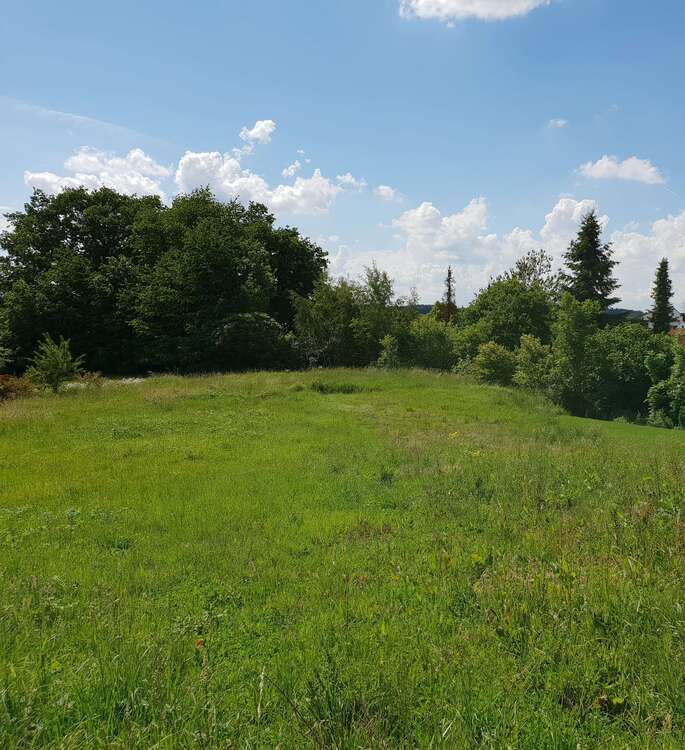 Grundstück zu verkaufen in Rohrbach 199.000 € 204 m²
