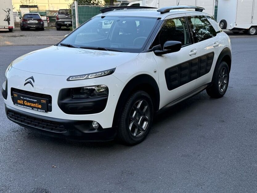 C4 Cactus