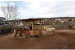Bauernhaus, Landhaus Lebach - 6 Zimmer, 180 m&sup2;, 150.000&euro; | Angebot:26758746