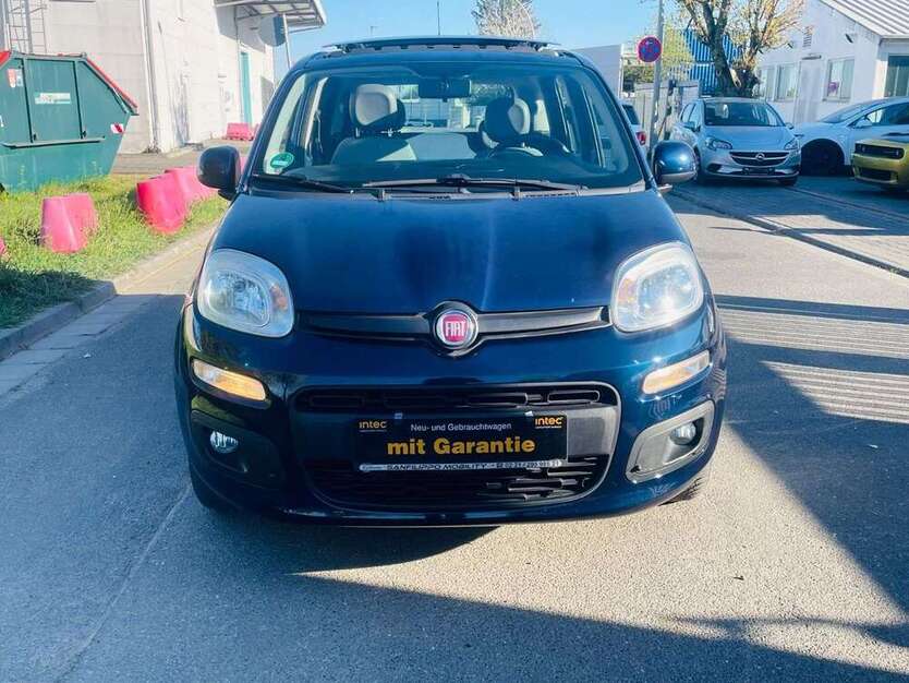 Panda
