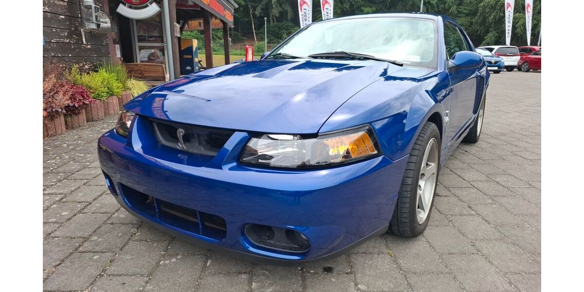Ford Mustang 93.000 km 42.000 &euro; kaiserslautern 67661