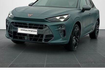 Cupra Terramar 11.900 km 44.804 &euro; Wernigerode 38855