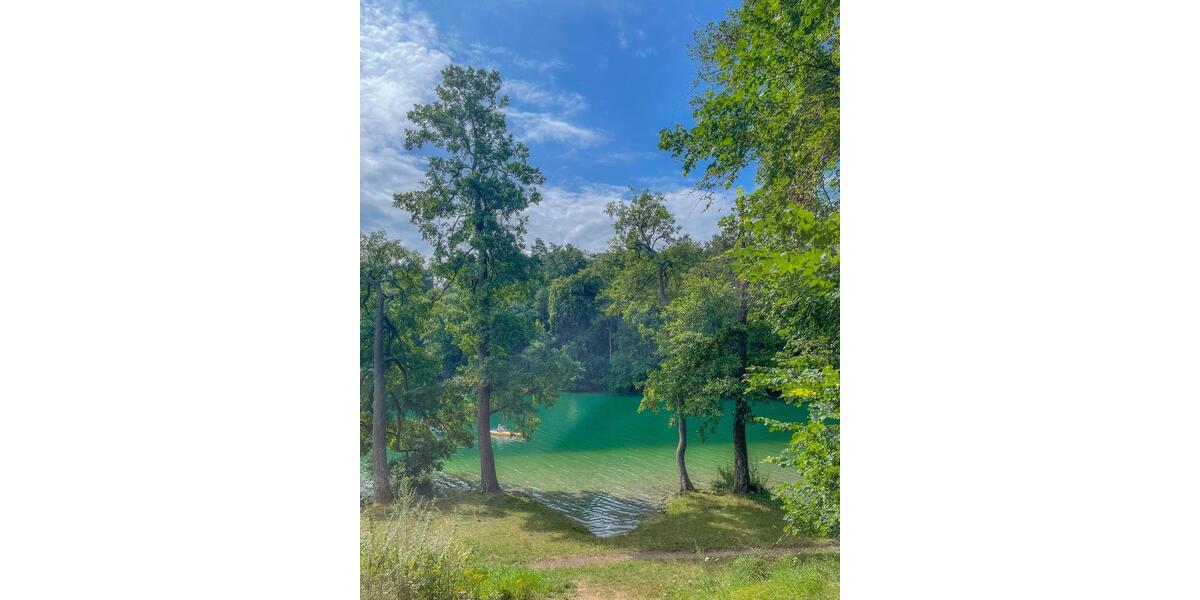 Einfamilienhaus Woldegk - 4 Zimmer, 200 m&sup2;, 625.000&euro; | Angebot:26339096