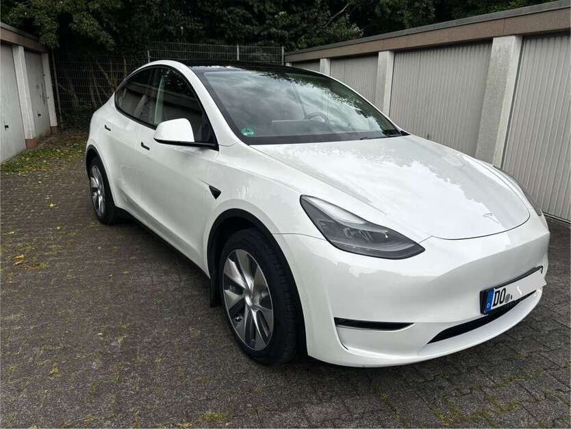 Model Y