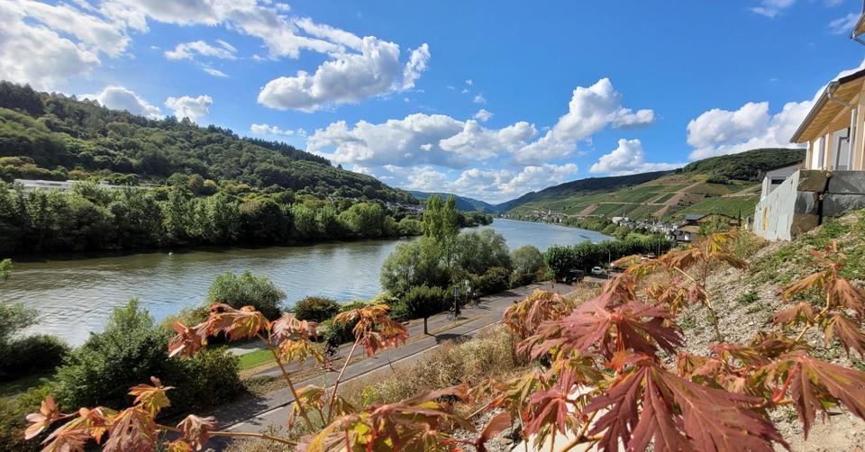 Einfamilienhaus Zell (Mosel) - 295.000&euro; | Angebot:22240325
