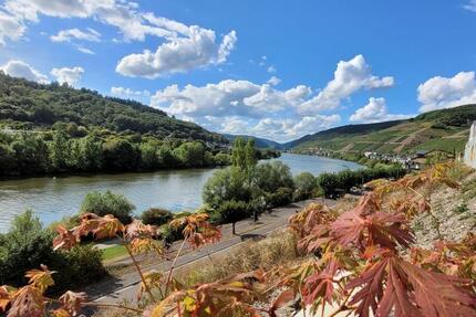 Haus Zell (Mosel) - 295.000&euro; | Angebot:22240325
