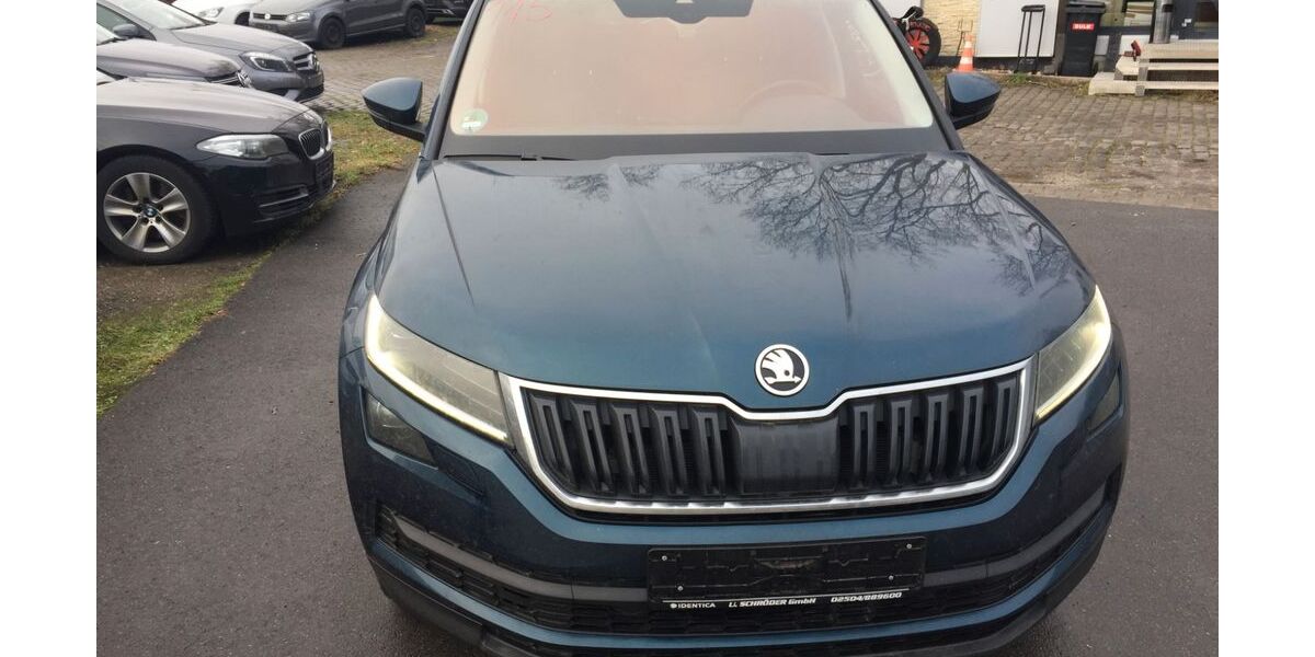 Skoda Kodiaq 204.690 km 19.500 &euro; Gelsenkirchen 45886